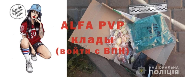 индика Мегион