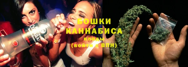 индика Мегион