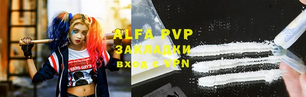 индика Мегион