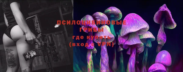 индика Мегион