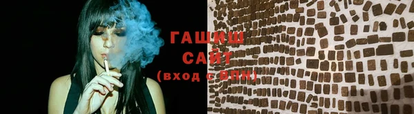 индика Мегион