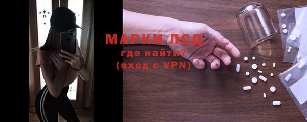 индика Мегион