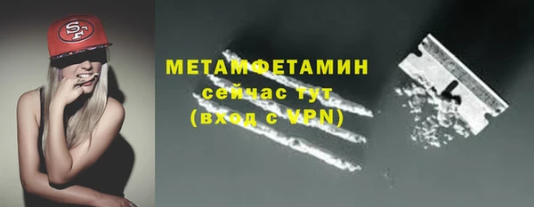 индика Мегион