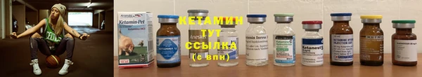 индика Мегион