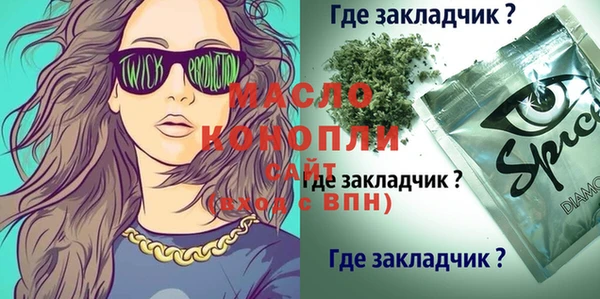 индика Мегион