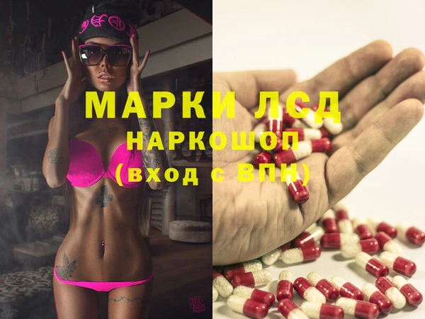 индика Мегион
