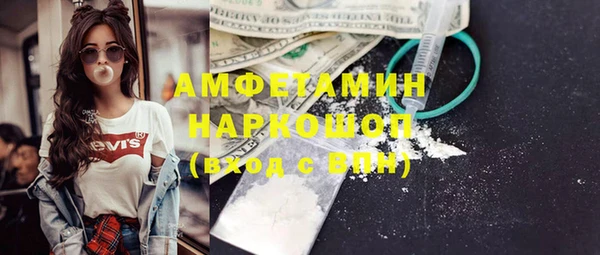 индика Мегион