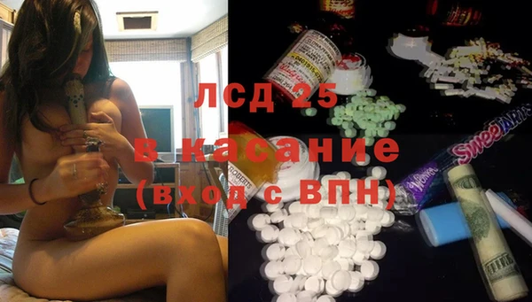 индика Мегион