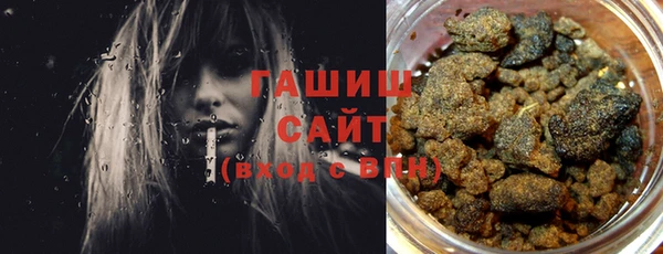 индика Мегион