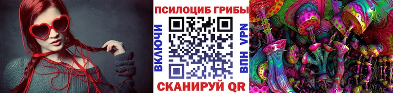 цены   Стрежевой  Галлюциногенные грибы мицелий 